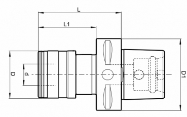 Skizze Polygonschaft-Aufnahmen - Gewindeschneidfutter Polygonschaft C80